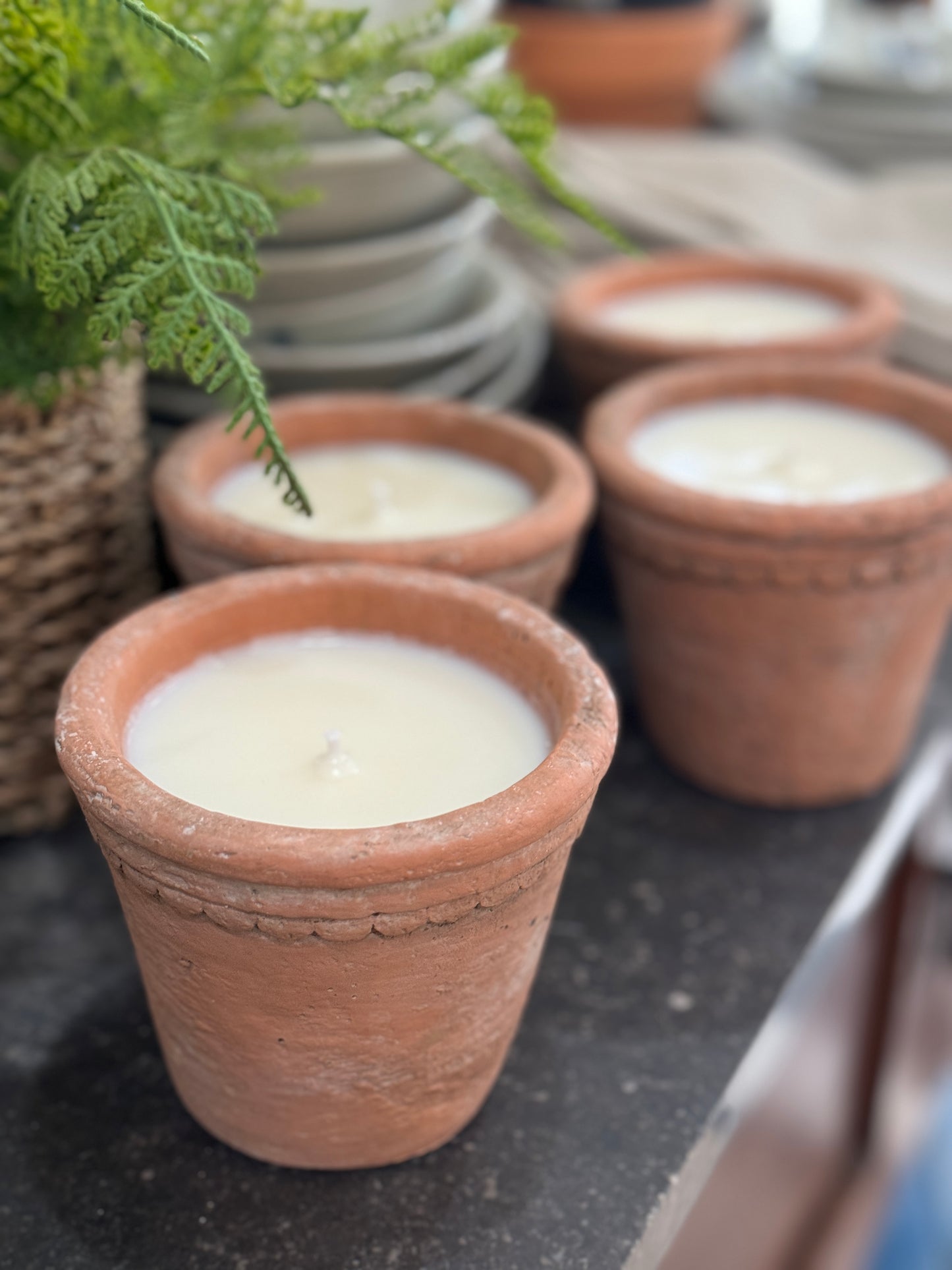 Citron Soy Candle in Terracotta Vessel