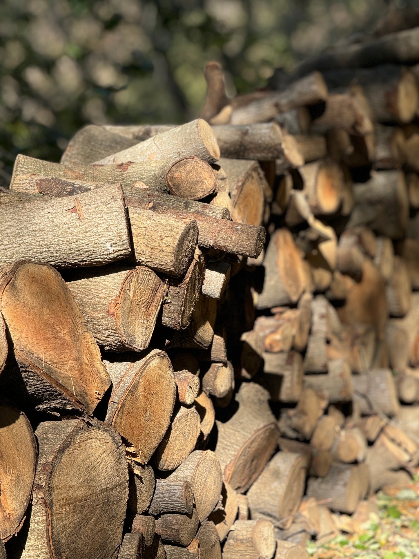 Firewood Bundle