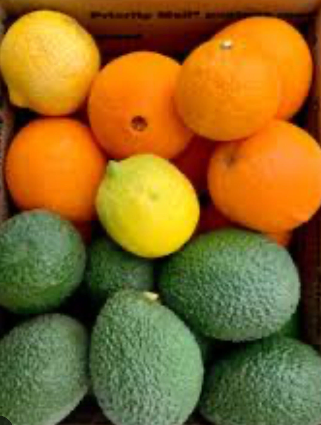 Large Mixed Box Pesticide free Citrus and avocado box