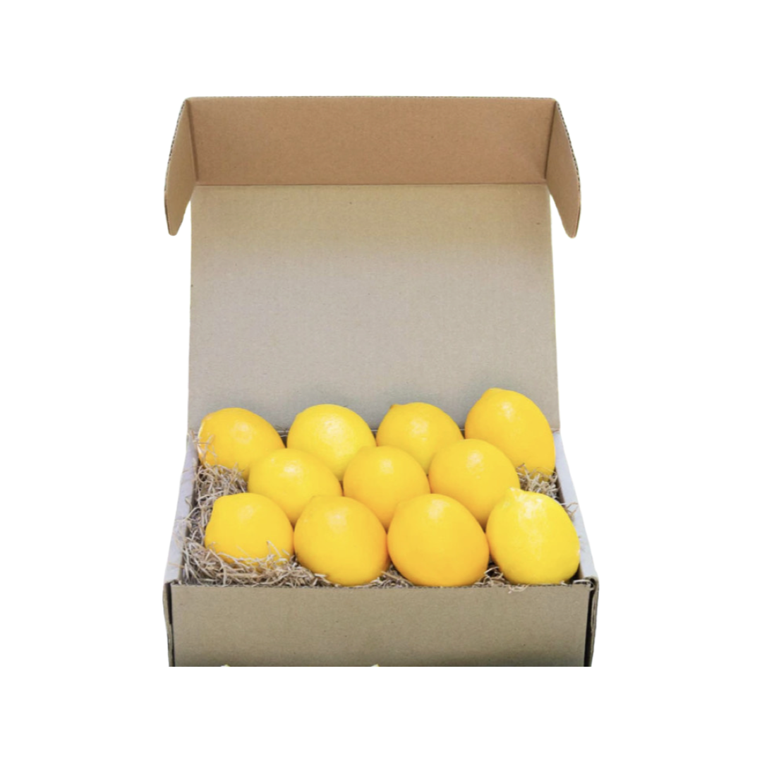 Eureka Lemons 10 lb Box